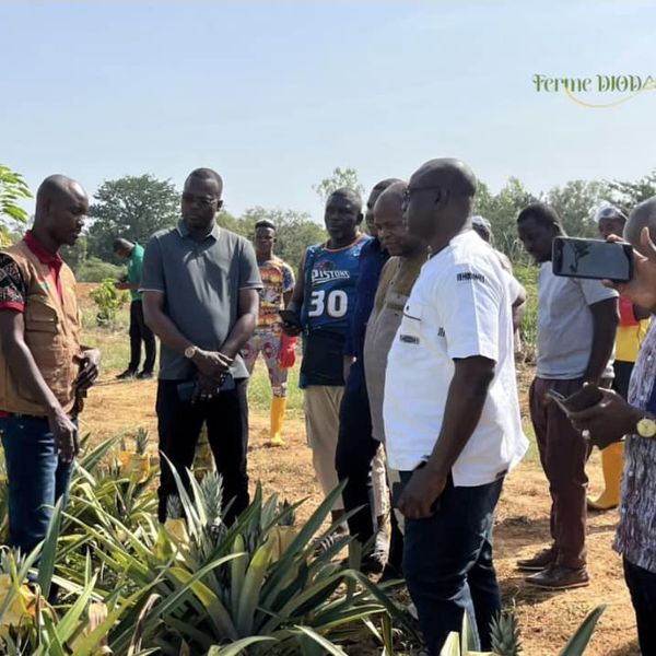Encouragement à l'Agriculture Innovante au Burkina Faso !