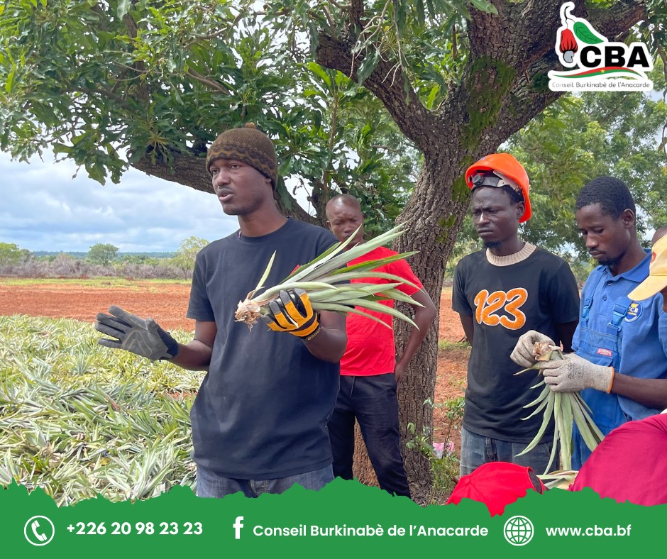 La Ferme DJODA partage ses expériences avec le CBA.