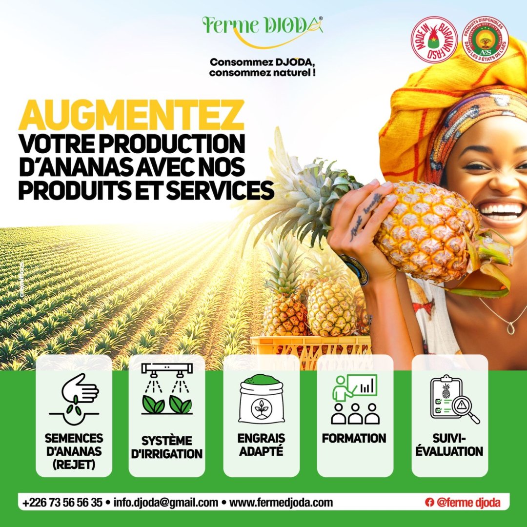 Augmentez votre production d'Ananas avec nos Produits et Services